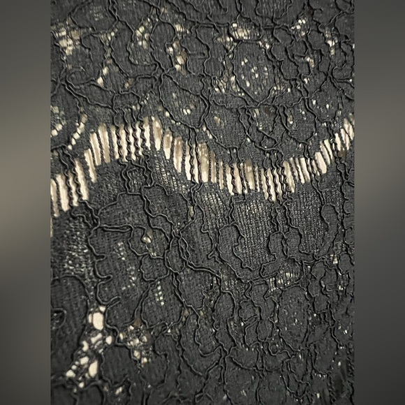 SOLD! Rose & Olive Black Lace Sleeveless Top 1X - Picture 5 of 7